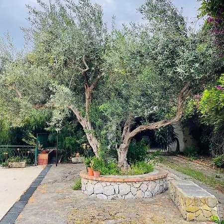 Apartmán Carrubo Terrace *